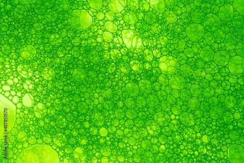 Light Green Background Closeup of Oil Drops in Water. Abstract Macro Photo of Liquid Surface with Bubbles. Bright Design of Structural Watery Texture. 