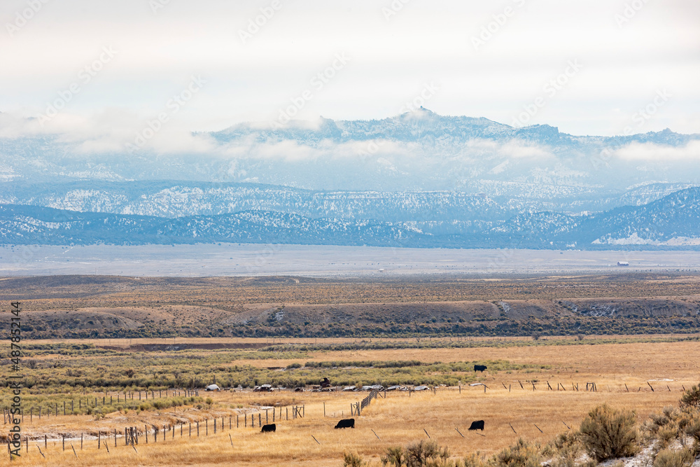Fototapeta premium Beautiful country side view near highway 15, Utah