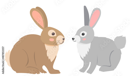 rabbit flat design, on white background