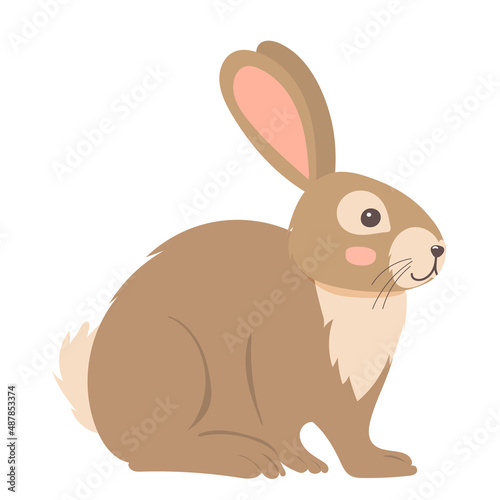 rabbit flat design, on white background isolated