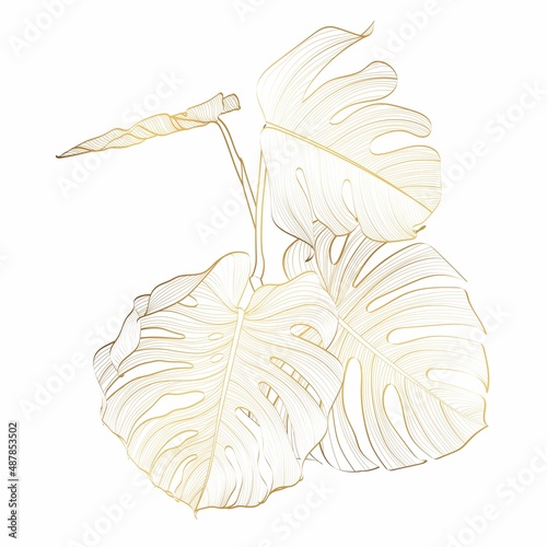 Gold and luxury tropical monstera leaves composition. Abstract exotic plan, tropical leaf palm, Monstera leaf design elements on the white background.