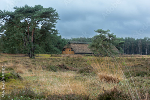 Owczarnia, schronienie dla owiec. Thule, Niemcy