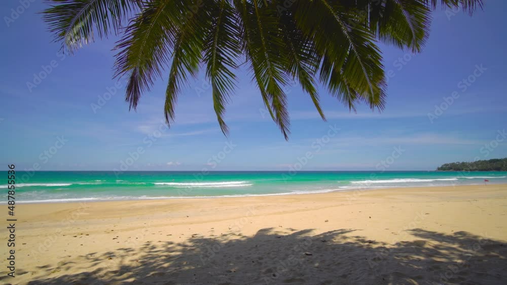 beach with palm trees and sky
beach with palm trees and sky