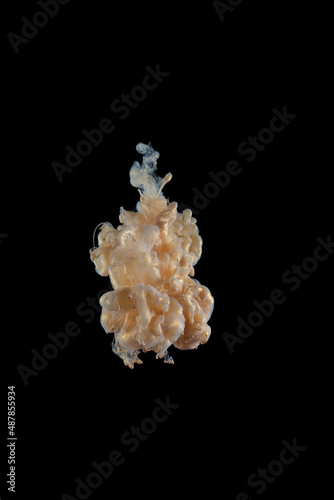 beautiful yellow gold mother-of-pearl clear ink abstract clouds in water isolated on black background detail and close