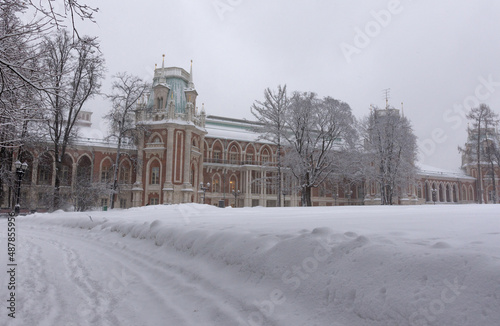 view of the royal palace on a winter day