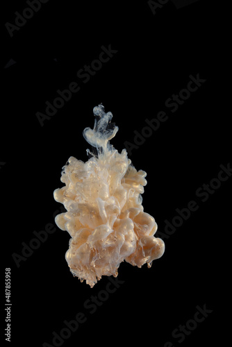 beautiful yellow gold mother-of-pearl clear ink abstract clouds in water isolated on black background detail and close