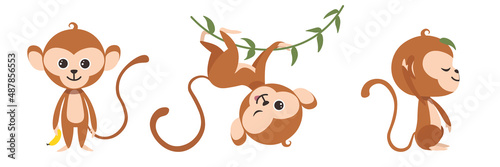 Vector illustration cute and beautiful monkeys on white background. Charming character in different poses with a banana  on a liana and sitting with a leaf on the head in cartoon style.