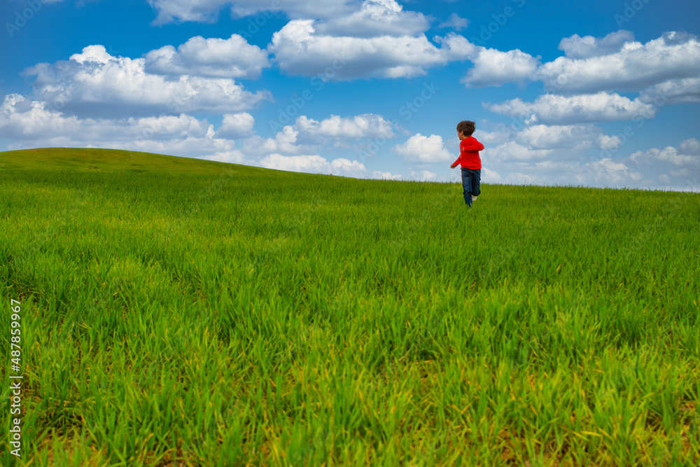 6 Year Old Boy Running Through A Green Meadow With A Spectacular Sky And A Nice Horizon. Image With Copy Space. Freedom Concept 6 Year Old Boy Running Through A Green Meadow With A Spectacular Sky And A Nice Horizon. Image With Copy Space. Freedom Concept