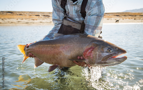 Lahontan cutthroat trout held up by fly fisherman at a lake