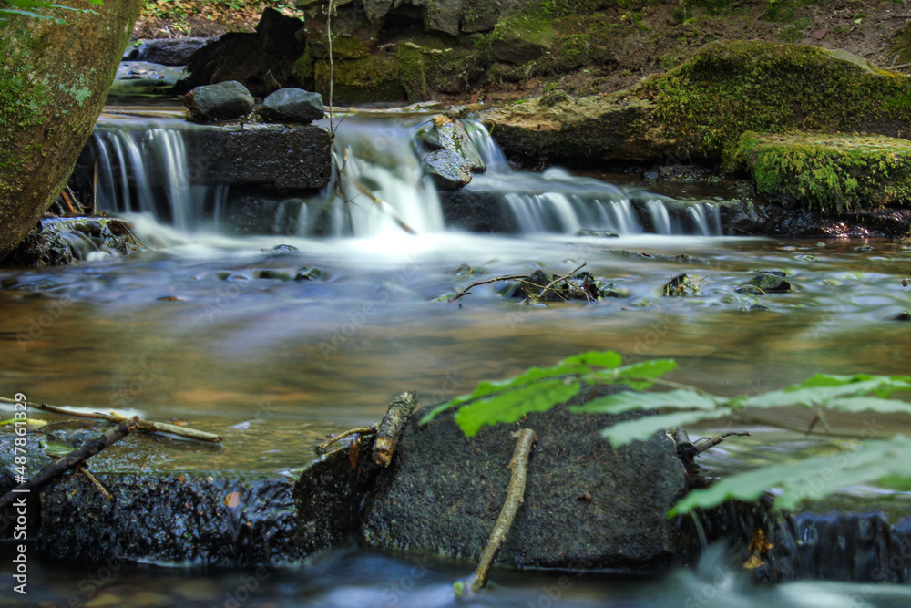 Obraz premium kleiner Bachlauf im amorbacher Seegarten