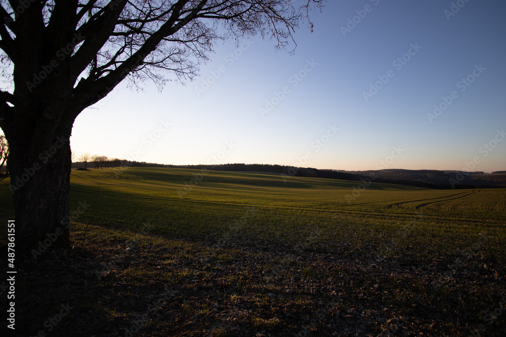 Fototapeta premium Abendstimmung in Neudorf
