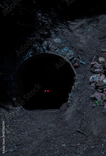 Fear concept. Red eyes staring from a dark tunnel