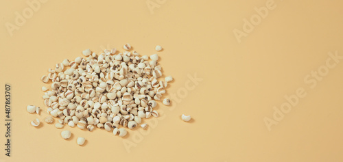 Group of Job's Tears, also known as adlay and coix on yellow background. photo