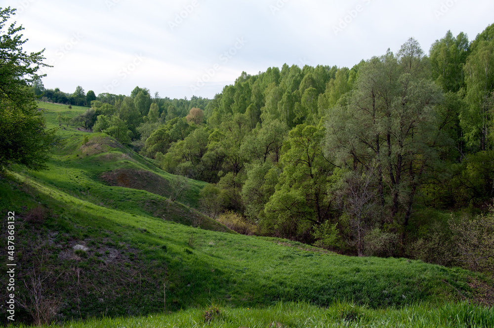 Landscape near the village Vshchizh, Zhukovka district, Bryansk region, Russia, May 10, 2014 Landscape near the village Vshchizh, Zhukovka district, Bryansk region, Russia, May 10, 2014