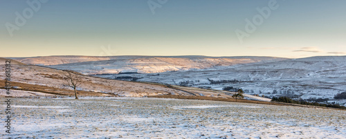 A lone tree in a snowy field in Weardale, the North Pennines, County Durham, UK