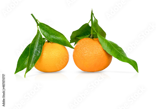 Two ripe tangerines with leaves isolated on a white background