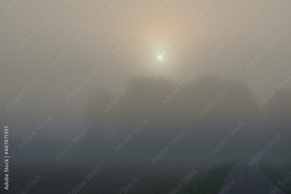 Fog in Tuusula in Finland: fields, forest, deep fog, sun, blurred, defocus.