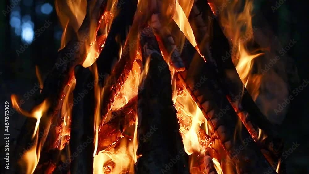 Bright flame of a burning fire in the dark on a background of forest in the summer evening. Burning branches in the fire, tongues of flame. Hiking. Tourism. Travel. Lifestyle. Bright flame of a burning fire in the dark on a background of forest in the summer evening. Burning branches in the fire, tongues of flame. Hiking. Tourism. Travel. Lifestyle.