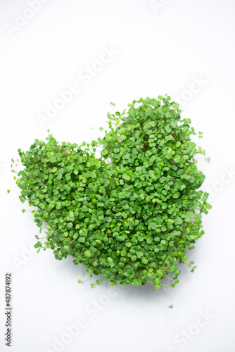 microgreen planted in the shape of a heart on a white background