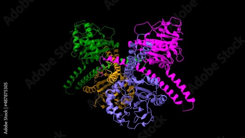 Structure of ubiquitin carboxyl-terminal hydrolase isozyme L5 (Uch37) tetramer. Animated 3D cartoon and Gaussian surface models, chain id color scheme, PDB 3ihr, black background photo