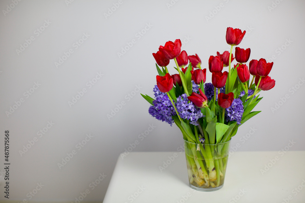 Fototapeta premium red tulips on white background 