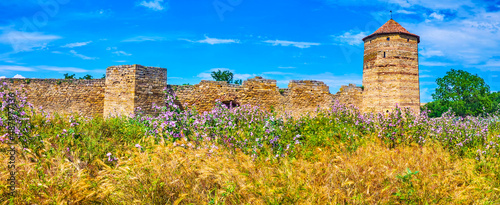 The wildflowers in Akkerman Fortress, Bilhorod-Dnistrovskyi, Ukraine photo