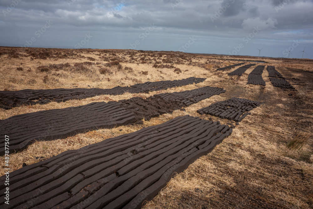 Plots of machine cut turf drying in the sun. In Ireland, the use of turf as a domestic fuel is still quite common.