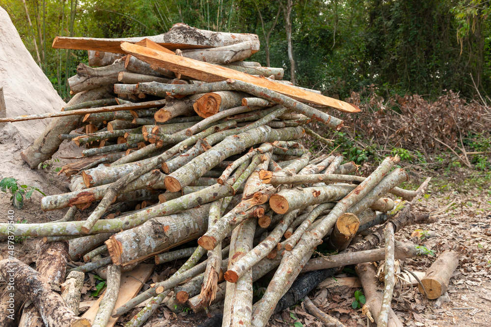 A pile of stacked firewood, prepared for heating the house, Firewood harvested for heating in winter, Chopped firewood on a stack, Firewood stacked and prepared for winter Pile of wood logs. A pile of stacked firewood, prepared for heating the house, Firewood harvested for heating in winter, Chopped firewood on a stack, Firewood stacked and prepared for winter Pile of wood logs.