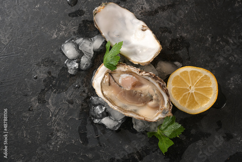 Raw oyster on ice with lemon slice and parsley garnish on a dark gray rustic background, copy space, high angle view from above