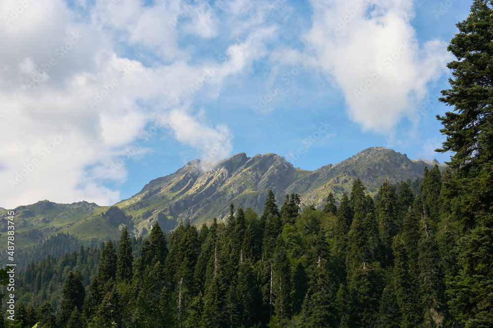 Abkhazia Caucasus Mountains near Lake Ritsa