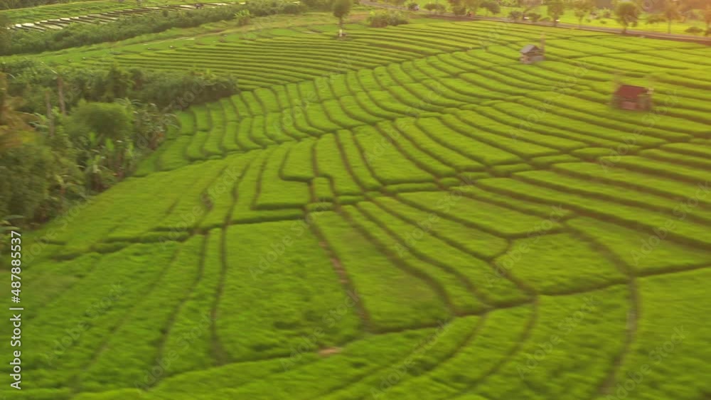 sunset light time bali island flight over famous rice terrace aerial panorama 4k indonesia sunset light time bali island flight over famous rice terrace aerial panorama 4k indonesia