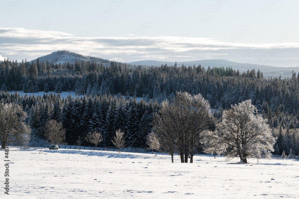 Winter at Zhuri, view on the mountains and trees, Sumava national park Winter at Zhuri, view on the mountains and trees, Sumava national park