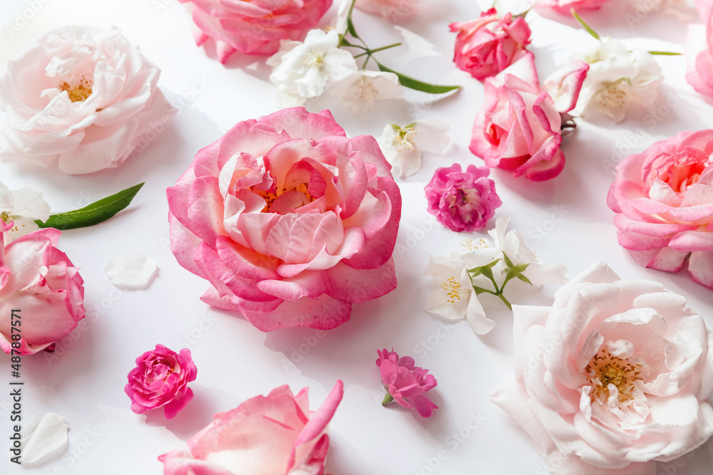 Summer floral pattern made of beautiful rose buds on white background. Nature concept. Minimal style. Top view. Flat lay Summer floral pattern made of beautiful rose buds on white background. Nature concept. Minimal style. Top view. Flat lay