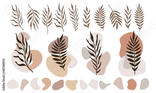 Abstract twigs with leaves and templates shapes. Vector set for posters