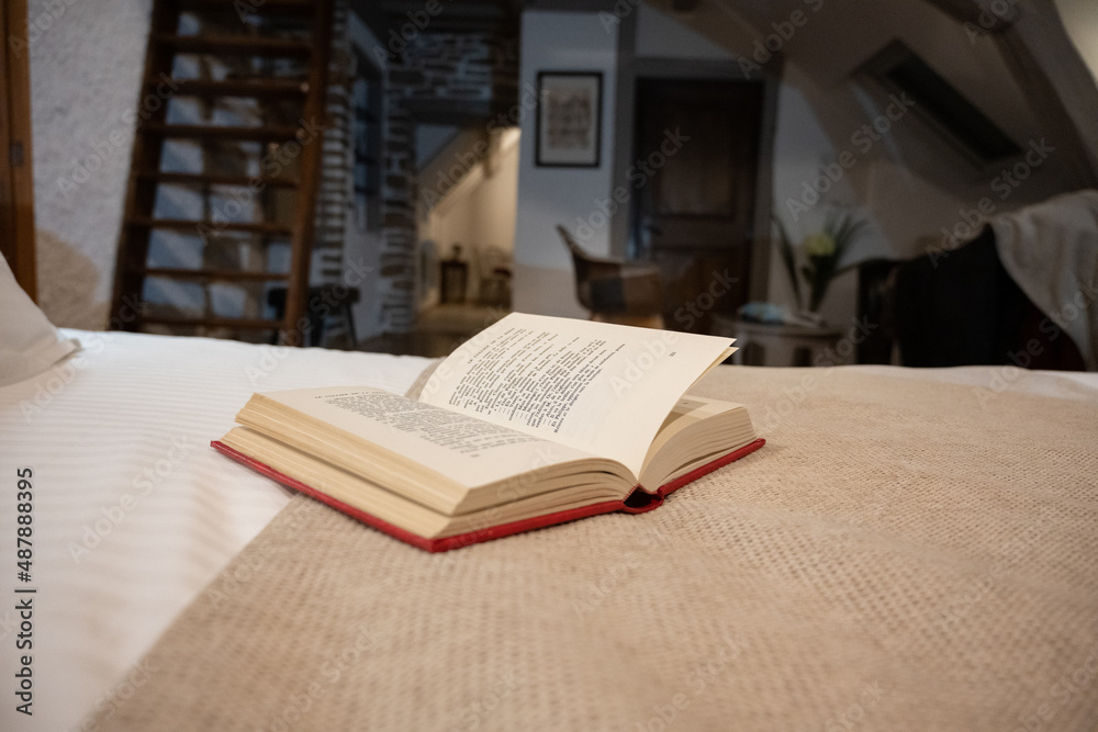 Obraz premium Livre sur le lit