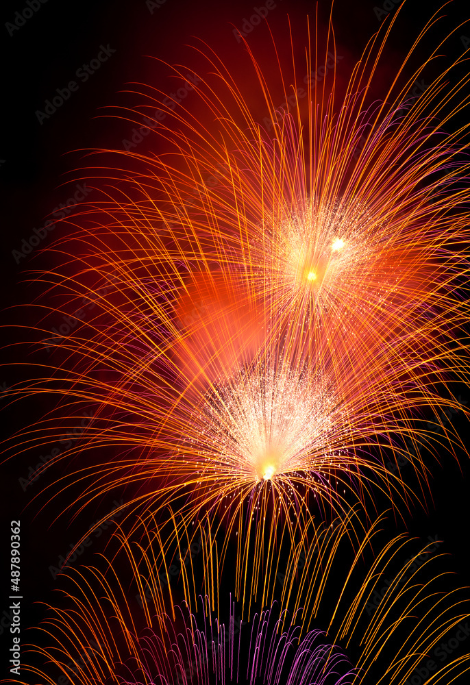 Colourful Pyrotechnic Fireworks in the Sky Colourful Pyrotechnic Fireworks in the Sky