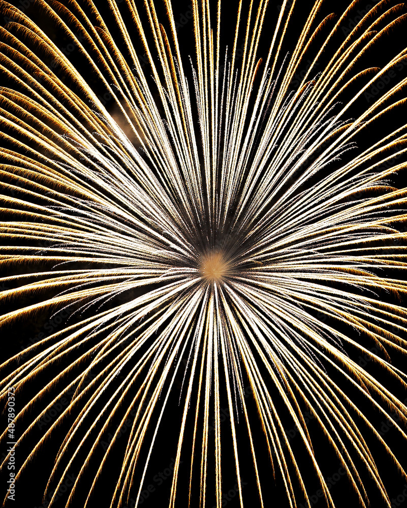 Obraz premium Colourful Pyrotechnic Fireworks in the Sky