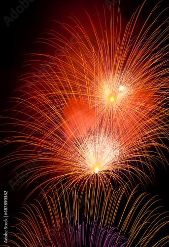 Colourful Pyrotechnic Fireworks in the Sky