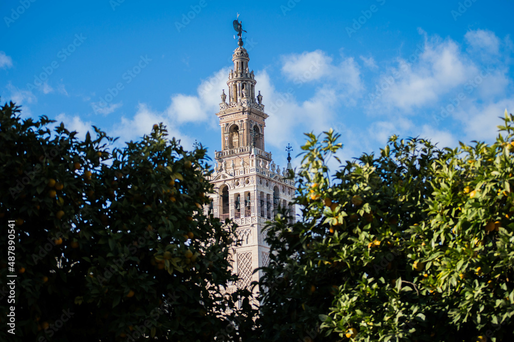 Close up Giralda of Seville Cathedral