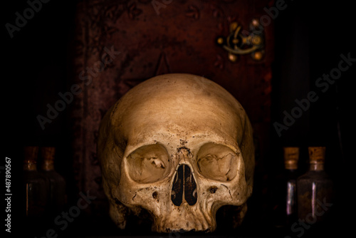 A Human Skull and Witch's Spell Book and Potions © Cavan