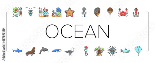 Ocean Underwater Life Collection Icons Set Vector .