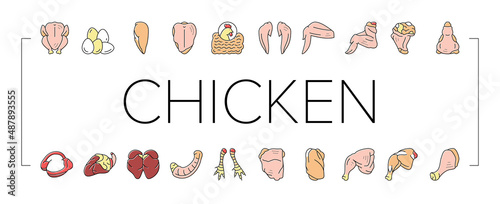 Chicken Animal Farm Raw Meat Food Icons Set Vector .