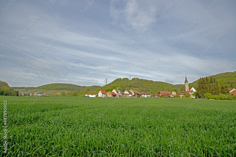 Obraz premium Aussicht auf Unterendingen