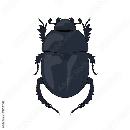 Scarab beetle, ancient symbol of Egypt. Vector scarabaeus bug drawing. Graphic illustration of a sacred egyptian pharaoh insect. Dung-beetle stock image