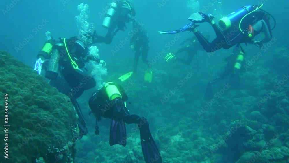 scuba divers scuba divers