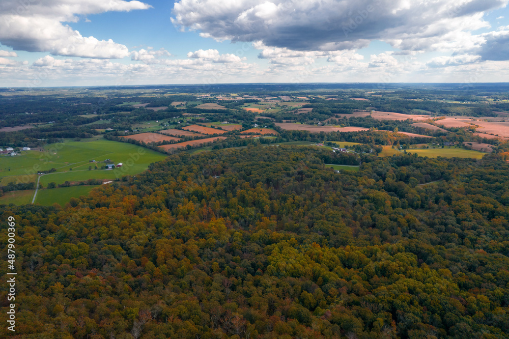 Aerial Drone View of Fall Forest With Foliage Amongst Blue Cloudy Skies