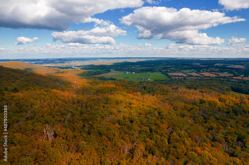 Aerial Drone View of Fall Forest With Foliage Amongst Blue Cloudy Skies