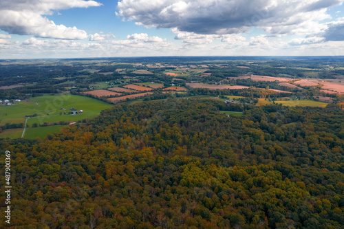 Aerial Drone View of Fall Forest With Foliage Amongst Blue Cloudy Skies