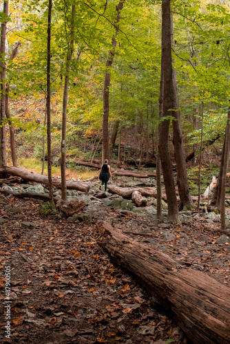 View of Girl Walking Through Forest with Fall Foliage