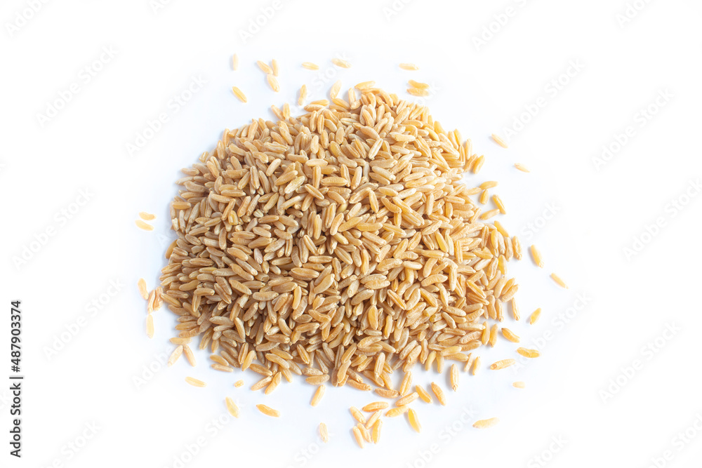 Pile of Organic Kamut or Khorasan Ancient Wheat Grain Berries in Top Down or Flat Lay View in a Heap Pile of Organic Kamut or Khorasan Ancient Wheat Grain Berries in Top Down or Flat Lay View in a Heap